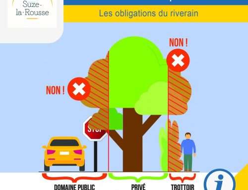 OBLIGATIONS DU RIVERAIN – entretien végétation