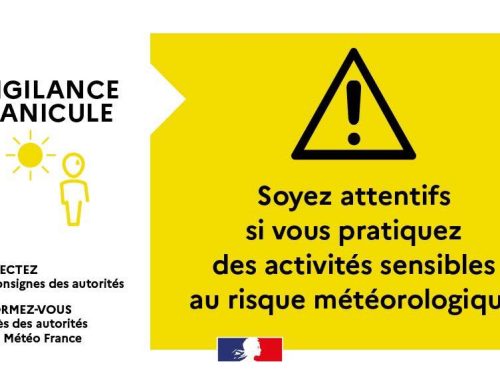 Vigilance canicule